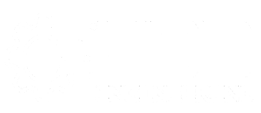 HDD_LOGO-removebg-preview